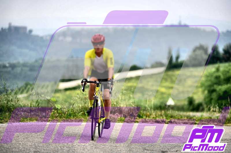 Foto Monferrato 8 giu 2024 09:39