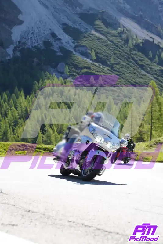 Foto Passo Rolle 24 mag 2026 09:24