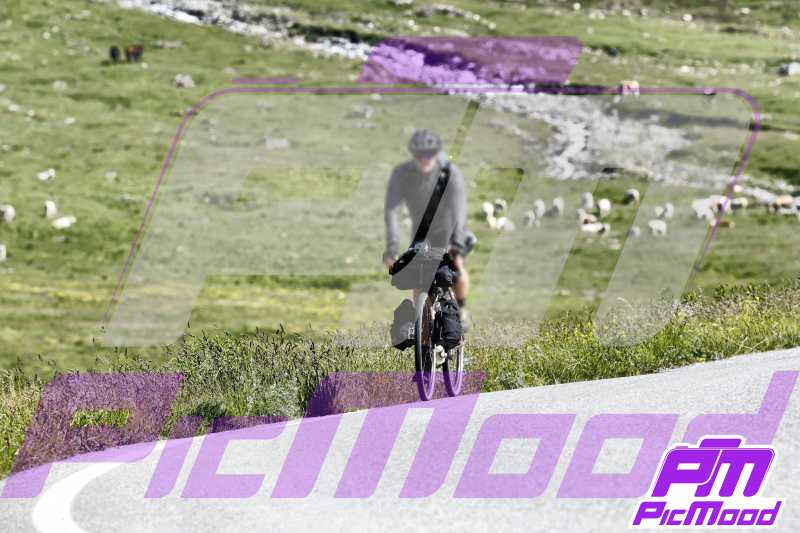 Foto Colle dell'Agnello 13 lug 2024 09:52