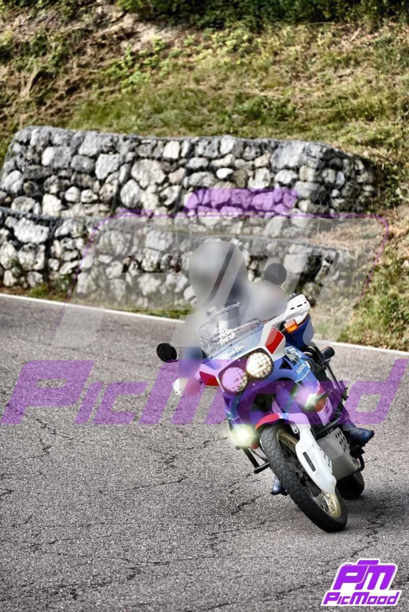 Foto Altopiano del Brentonico 31 ago 2024 09:23