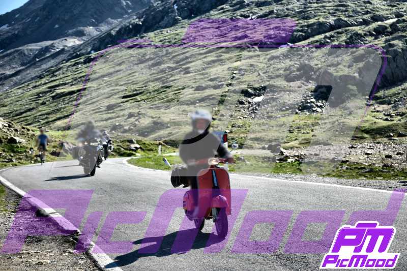 Foto Passo Gavia 29 giu 2025 08:50