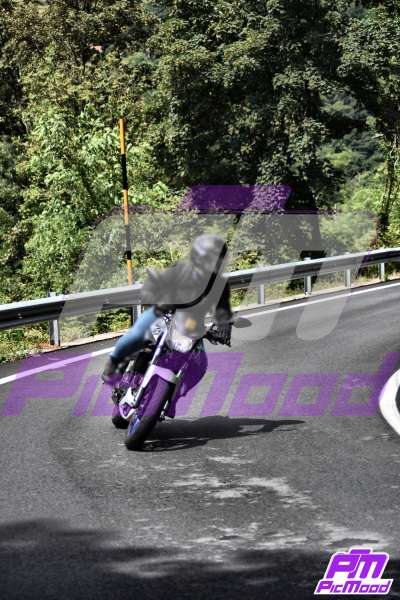 Foto Passo del Turchino 27 lug 2025 12:42