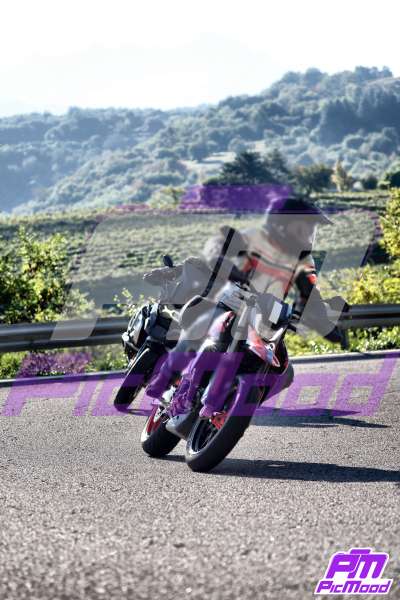 Foto Altopiano del Brentonico 20 set 2025 09:25