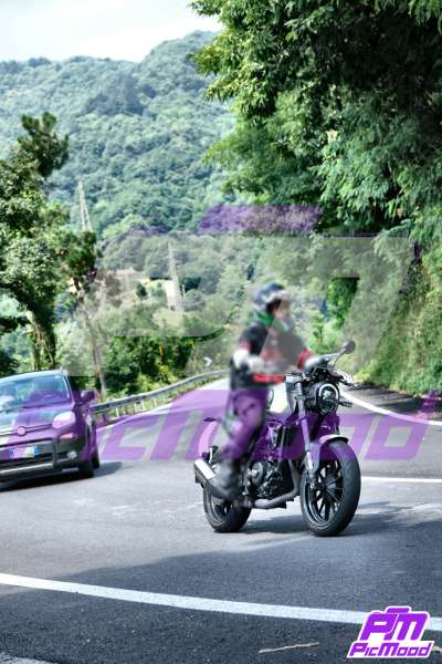 Foto Passo del Turchino 2 ago 2025 12:51
