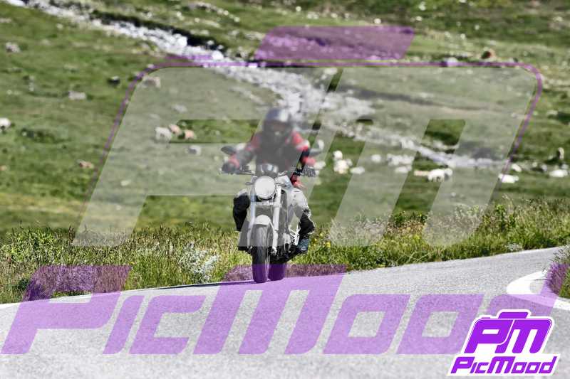 Foto Colle dell'Agnello 13 lug 2024 10:12