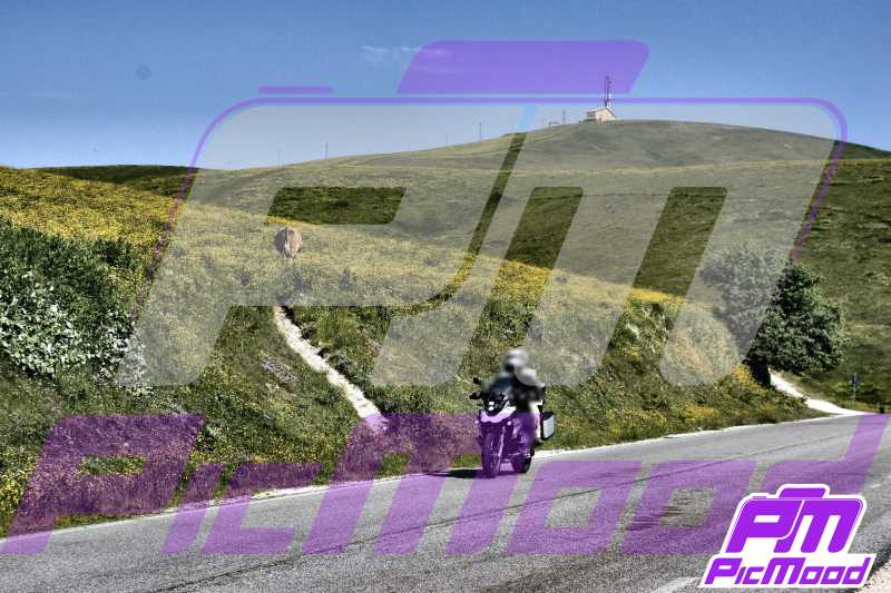 Foto Passo del Branchetto 15 giu 2025 09:51