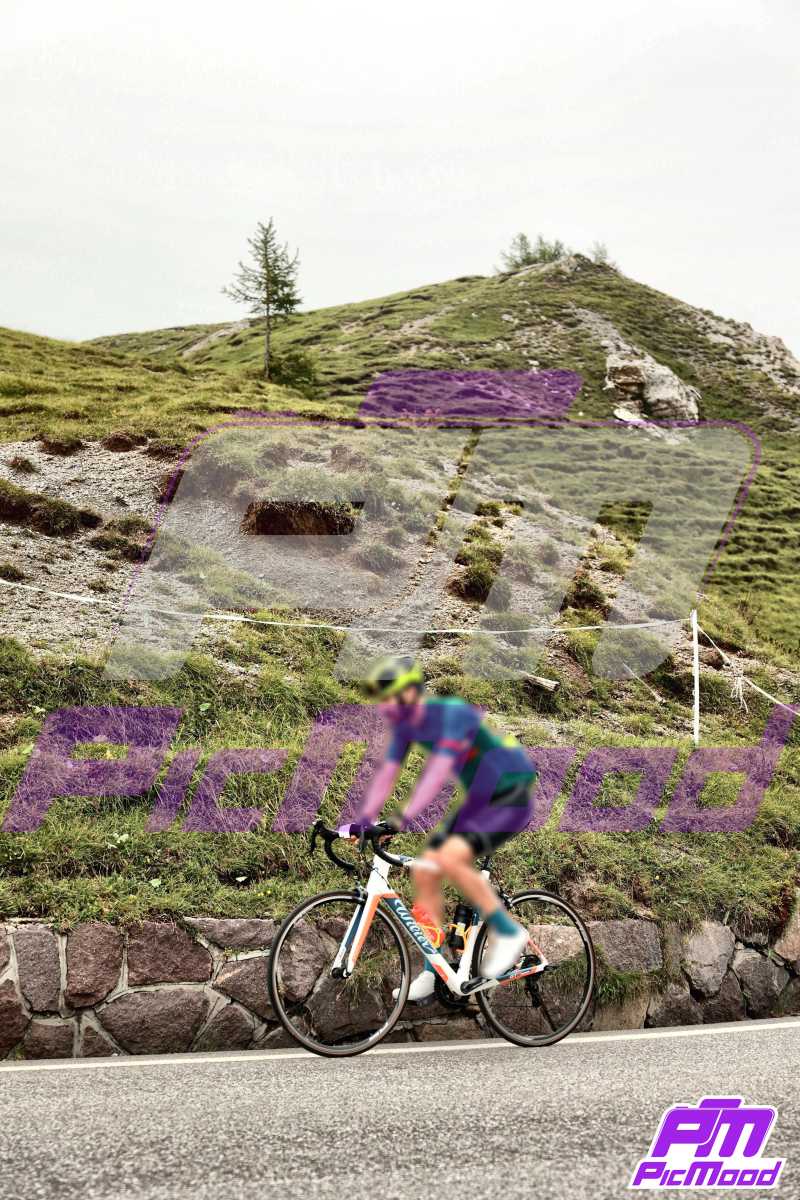 Foto Passo Rolle 6 lug 2024 09:25