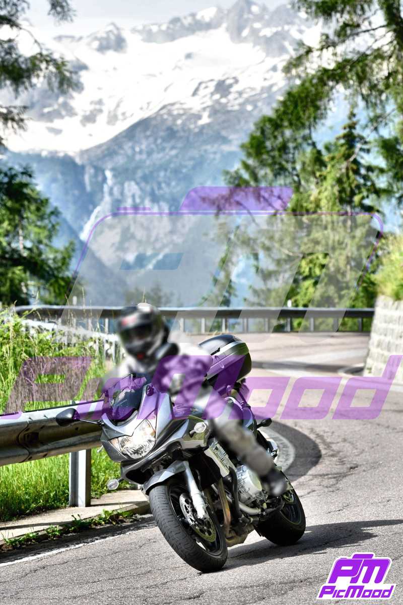 Foto Passo del Tonale 29 giu 2024 09:35
