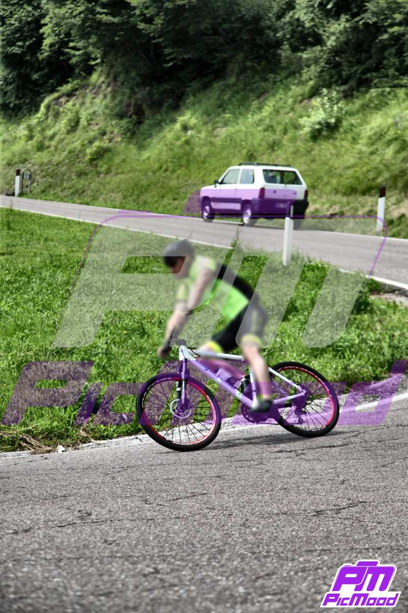 Foto Altopiano di Brentonico 8 giu 2024 10:07