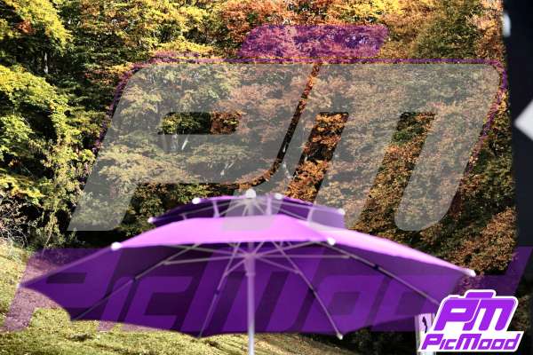 Foto Campocatino 18 ott 2025 10:14