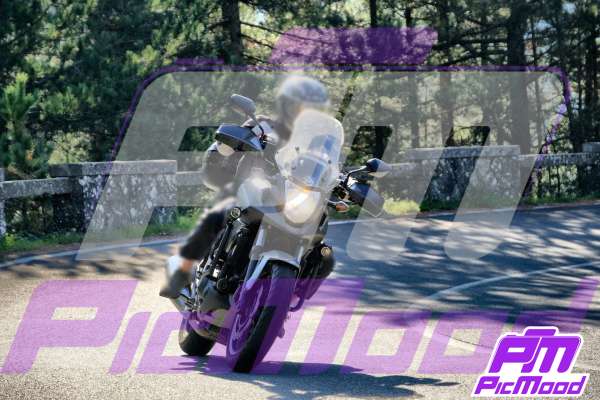 Foto Passo del Muraglione 18 ott 2025 10:29