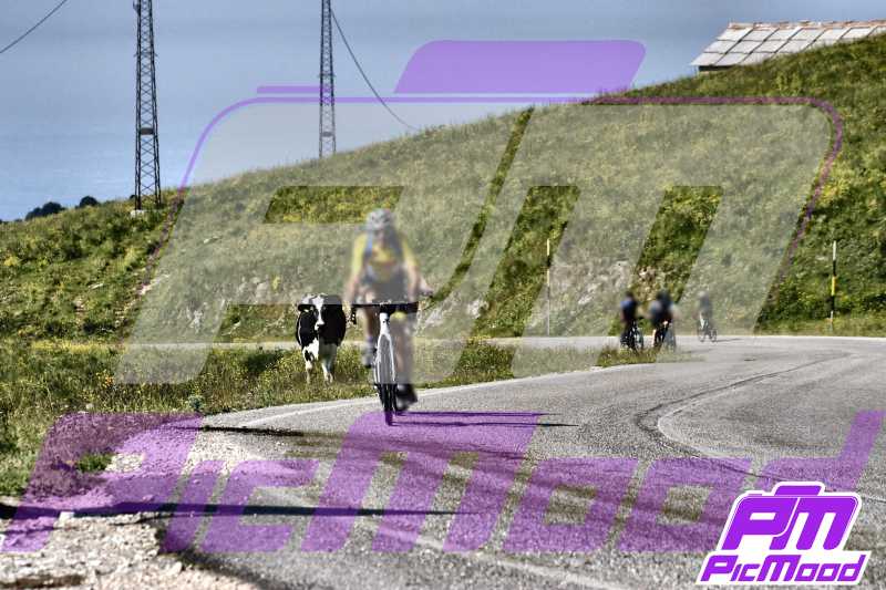 Foto Passo del Branchetto 22 giu 2025 09:42