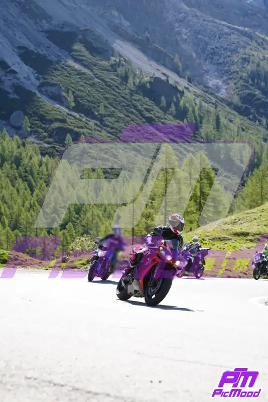 Foto Passo Rolle 24 mag 2026 09:24