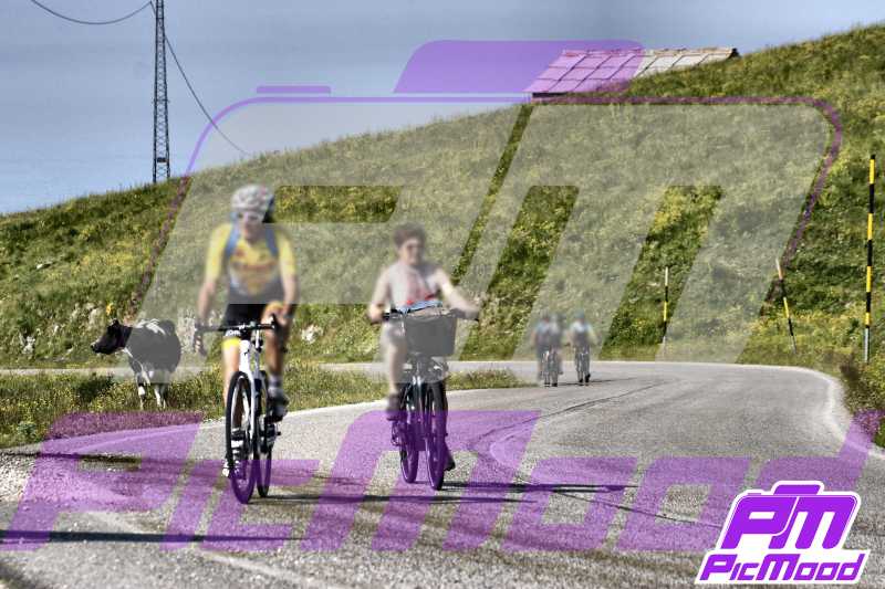 Foto Passo del Branchetto 22 giu 2025 09:42