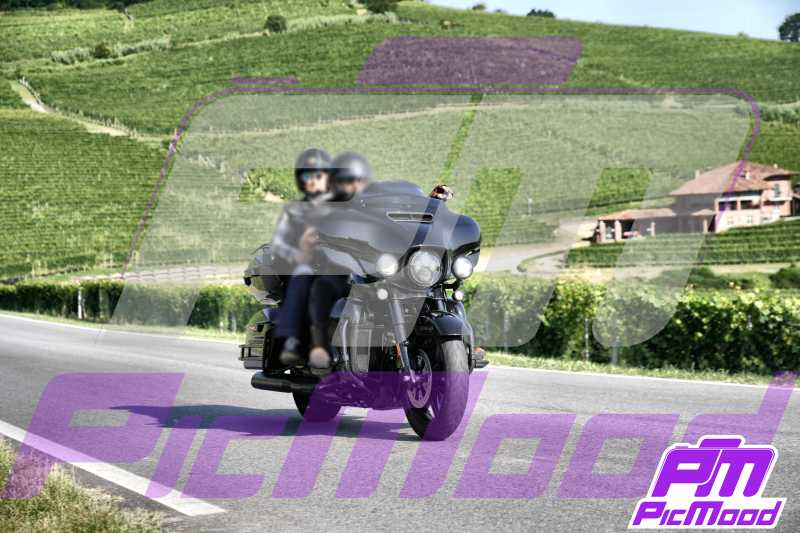 Foto Barolo 14 lug 2024 09:31