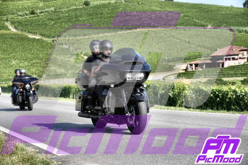Foto Barolo 14 lug 2024 09:30