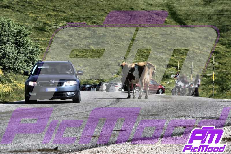 Foto Passo del Branchetto 15 giu 2025 09:48