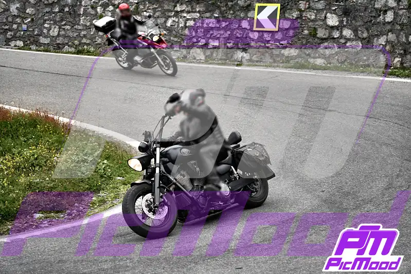Foto Passo dello Stelvio 25 lug 2026 09:02
