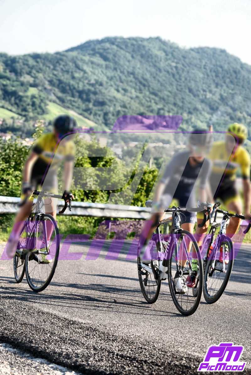 Foto Vernasca 27 lug 2024 08:29