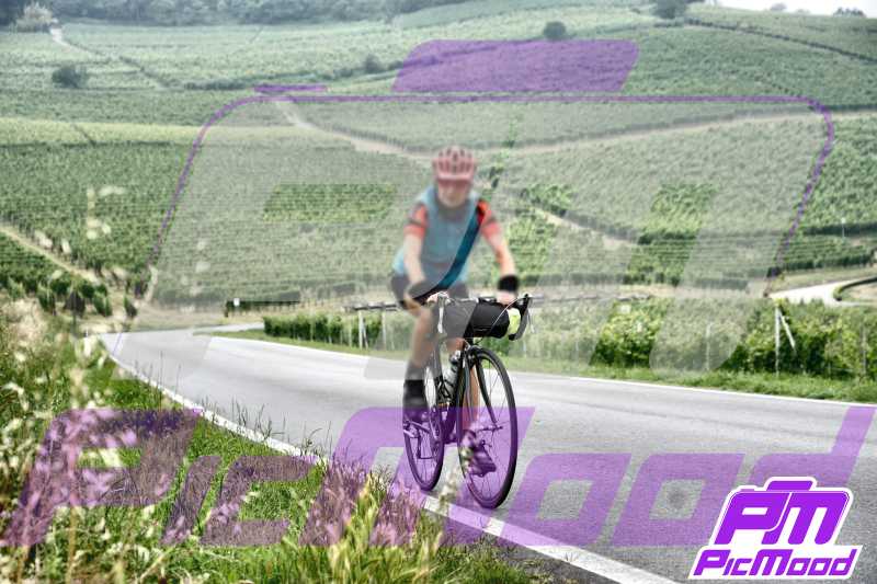 Foto Barolo 15 giu 2024 09:31