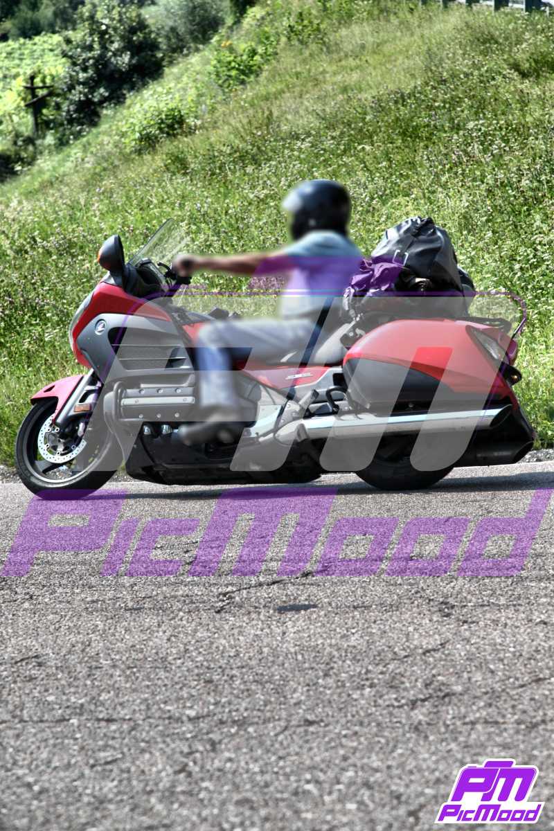 Foto Altopiano del Brentonico 28 lug 2024 09:36