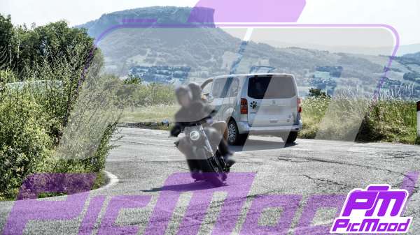 Foto Passo del Cerreto 19 lug 2025 09:29