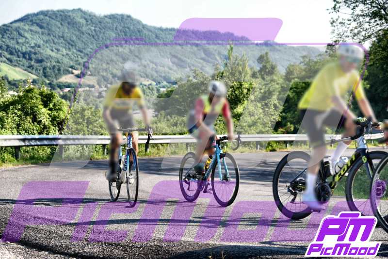 Foto Vernasca 20 lug 2024 08:59