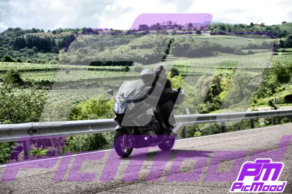 Foto Altopiano del Brentonico 26 lug 2025 10:46