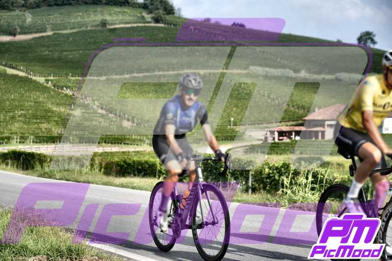 Barolo
