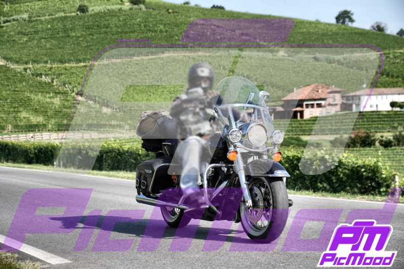 Foto Barolo 14 lug 2024 09:28