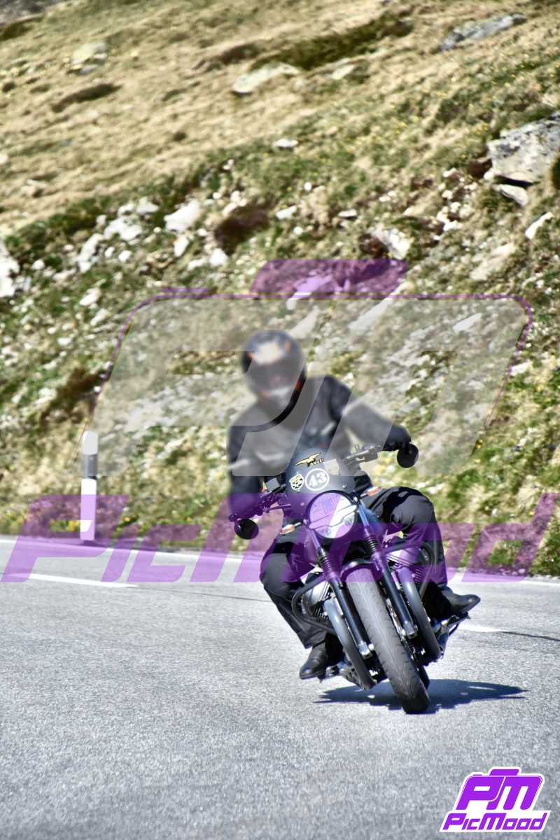 Foto Passo Bernina 22 giu 2024 09:16