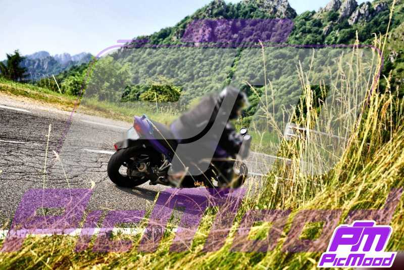 Foto Passo di Zambla 29 giu 2025 09:32