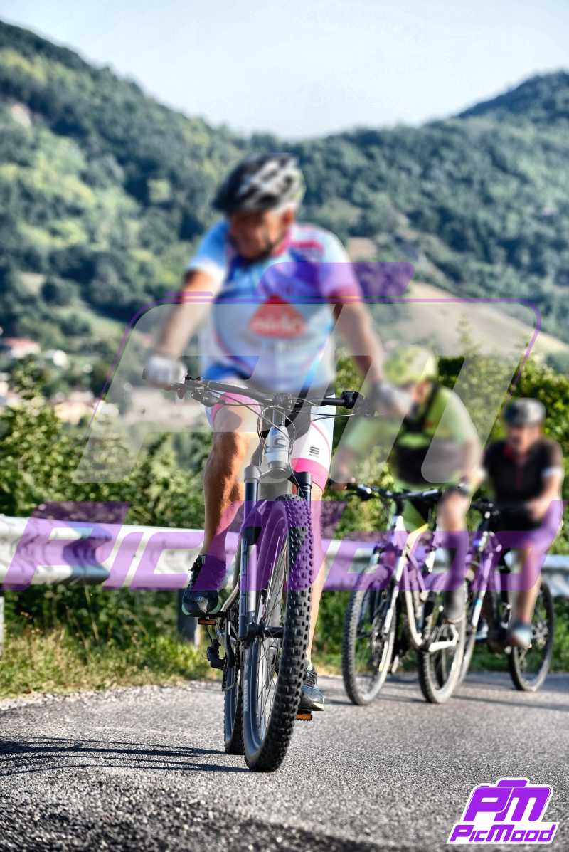 Foto Vernasca 25 ago 2024 08:41