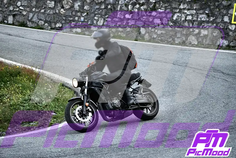 Foto Passo dello Stelvio 1 ago 2026 09:01