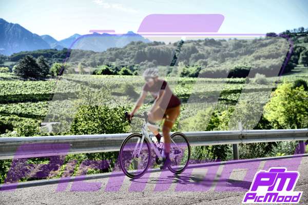 Foto Altopiano del Brentonico 27 lug 2025 09:24