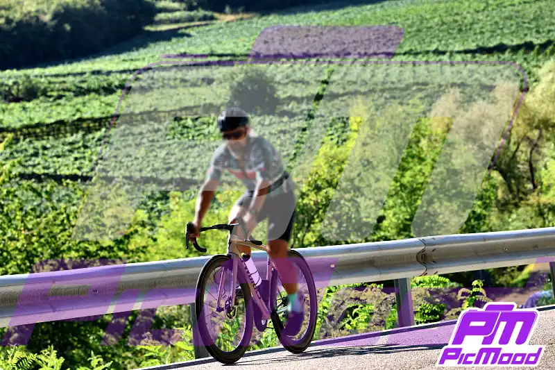 Foto Altopiano del Brentonico 22 ago 2026 09:49