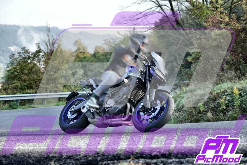 Foto Vernasca 12 ott 2024 09:22
