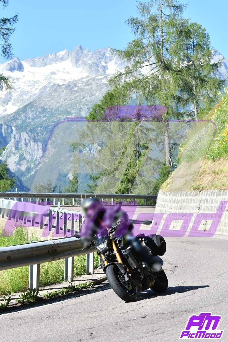 Foto Passo del Tonale 14 lug 2024 09:19