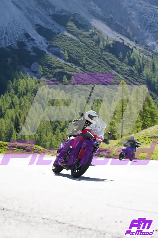 Foto Passo Rolle 24 mag 2026 09:24