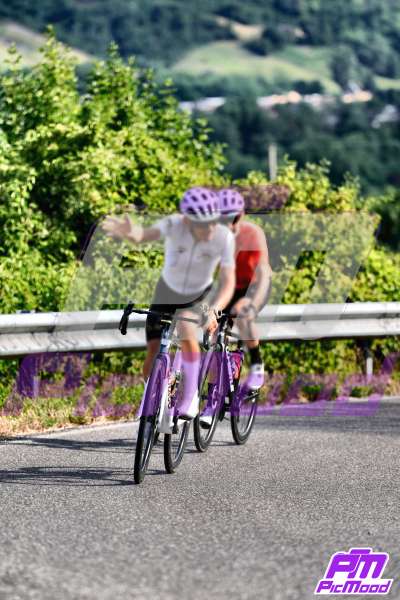 Foto Vernasca 12 lug 2025 09:01