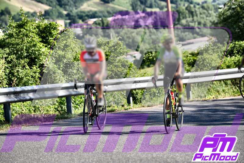 Foto Vernasca 30 giu 2024 08:54
