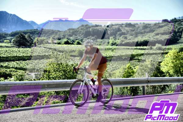 Foto Altopiano del Brentonico 27 lug 2025 09:24