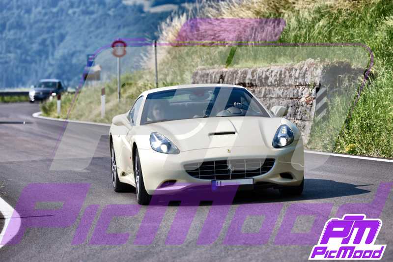 Foto Altopiano del Brentonico 29 giu 2025 09:48