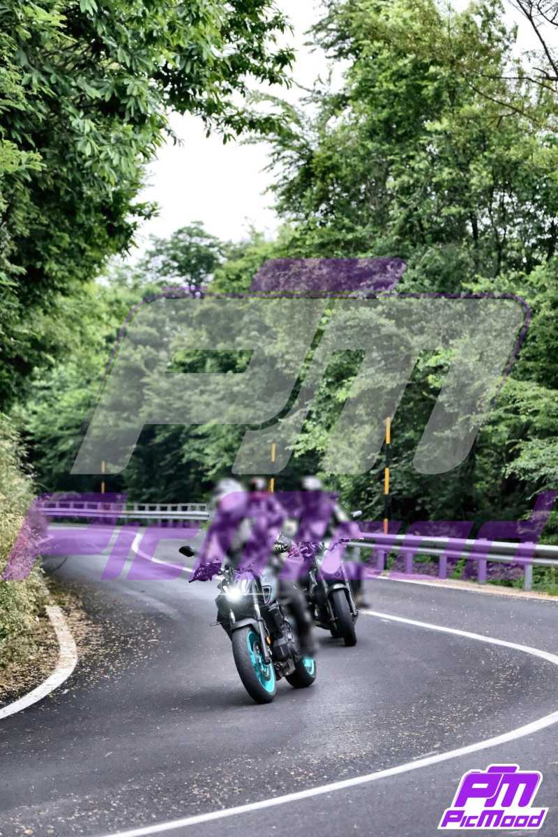 Foto Passo del Turchino 2 giu 2025 11:21