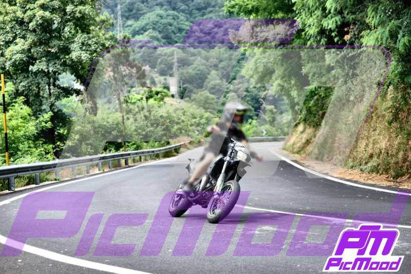 Foto Passo del Turchino 6 lug 2025 14:05