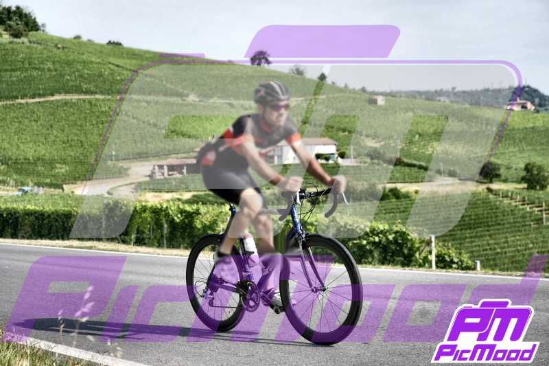 Foto Barolo 6 lug 2024 09:29