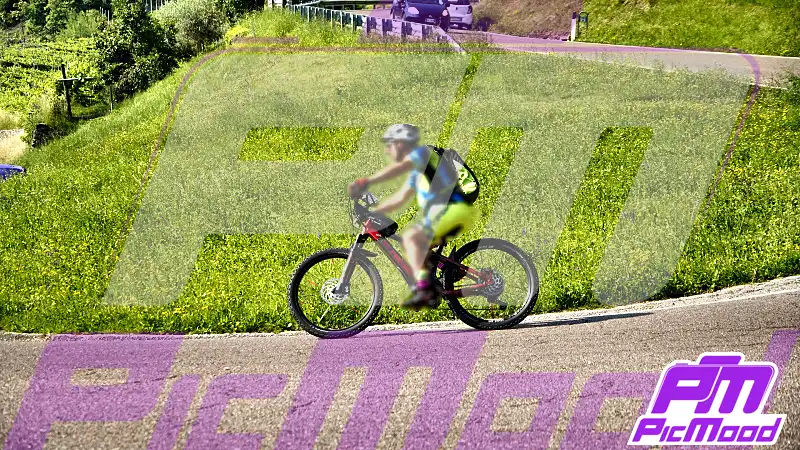 Foto Altopiano del Brentonico 20 giu 2026 09:20