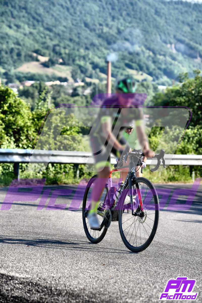 Foto Vernasca 20 lug 2024 08:59