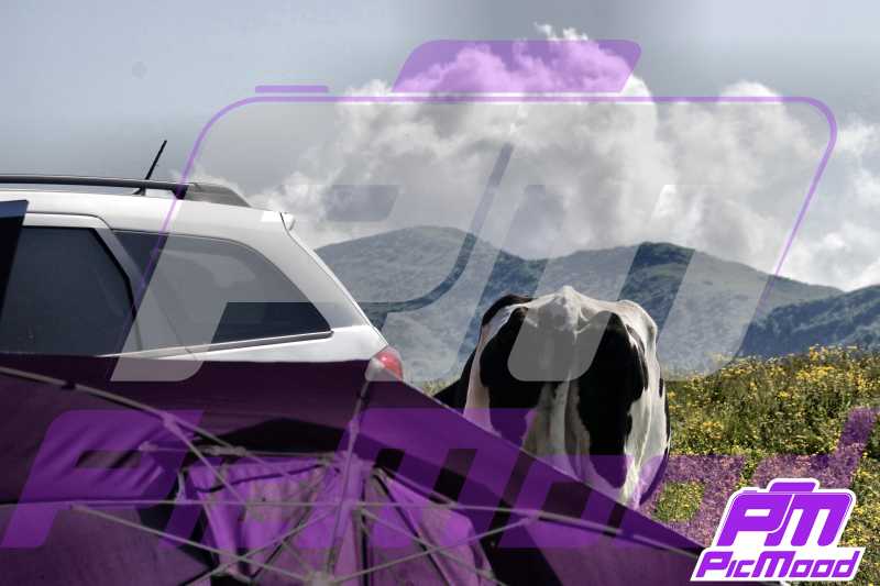 Foto Passo del Branchetto 22 giu 2025 09:46