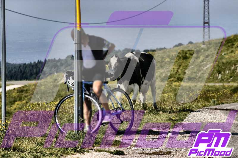 Foto Passo del Branchetto 22 giu 2025 09:43